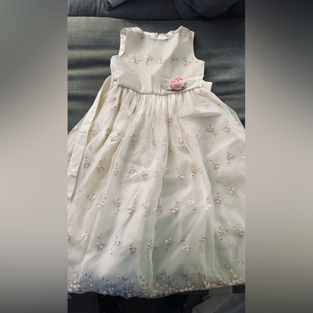 Cinderella Dress